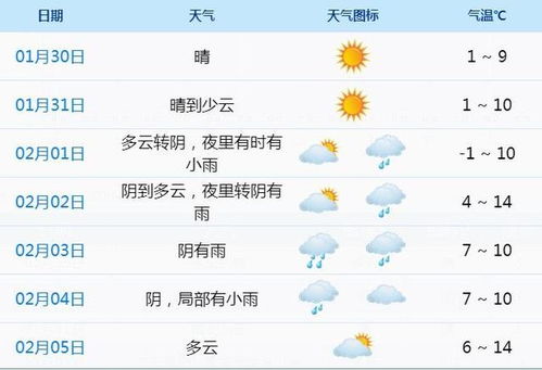 春节家庭健康计划及实施过程