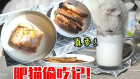 10分钟搞定的快手早餐