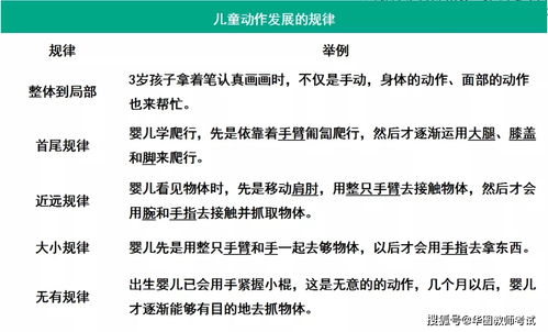 家庭语言环境对学前儿童双语教育的影响研究